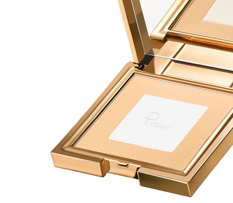 Poudre visage effet flout&eacute; pores invisibles AirBlur 24H